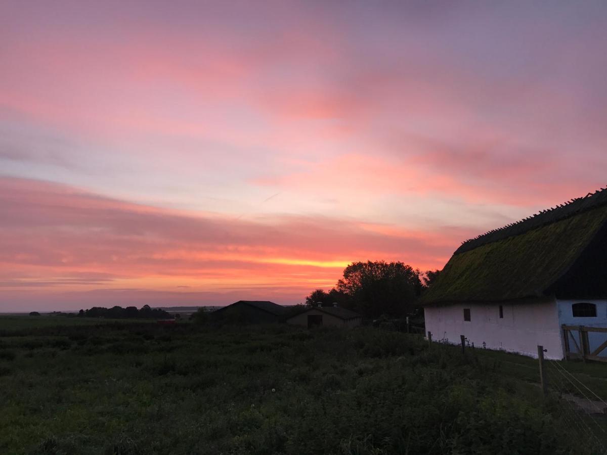 Strågården Nyord Bed & Breakfast Eksteriør bilde